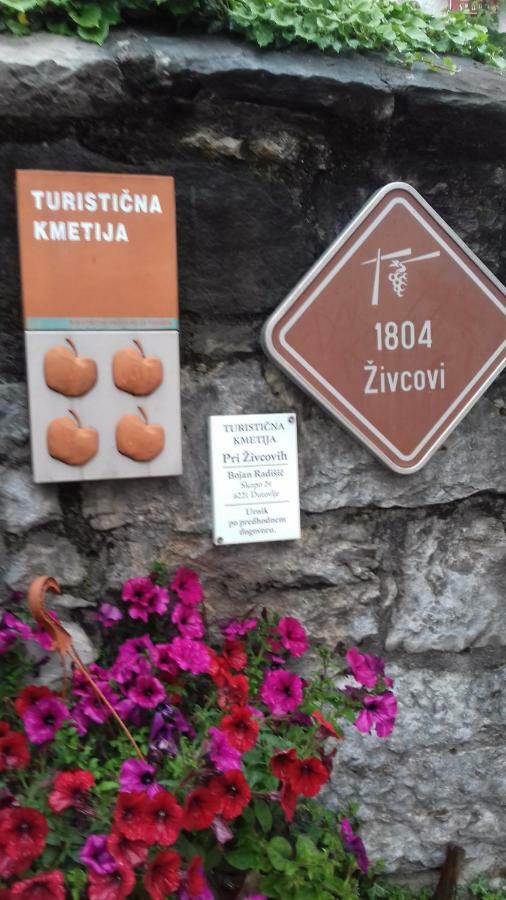 Apartmaji Pri Zivcovih Dutovlje Exteriör bild