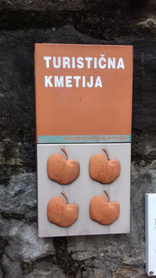 Apartmaji Pri Zivcovih Dutovlje Exteriör bild